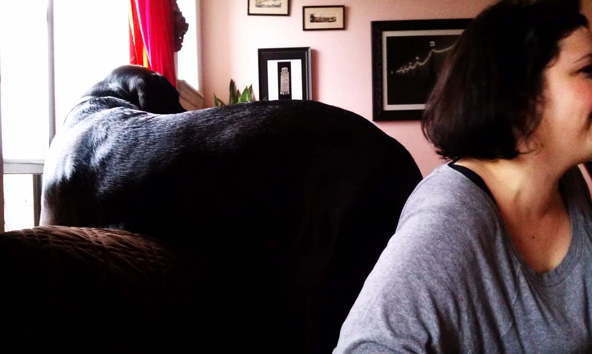 2012-12-09 Buck + Carin. He thinks he's tiny.